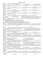 Phần quang hình trac nghiem