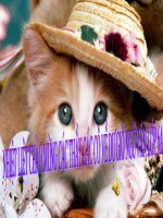 DANH TỪ TIẾT 32 VĂN HỌC 6