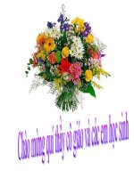 Tiết 131: Tổng kết văn bản nhật dụng