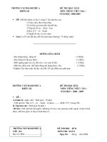 Đề thi Toán , Tviệt CKII khối 3