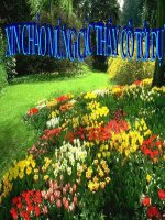 Luyện từ và câu: Từ trái nghĩa