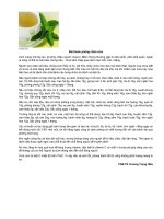 Bài thuốc phòng chữa cúm