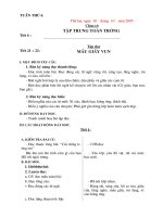 bo giao an lop 5, tuan 6