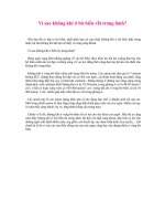 Vì sao không khí ở bờ biển rất trong lành