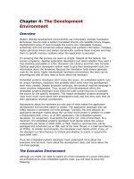 The development environment