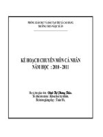 ke hoach chuyen mon toan 8 2010 - 2011