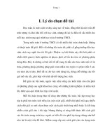 Đề tài cấp Thị Xã