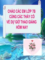 Bài. Trình bày dữ liệu bằng biểu đồ