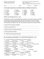 Tiếng Anh 10: Đề thi khảo sát 2010-2011