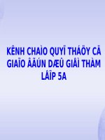 BÀI GIẢNG TV LỚP 5