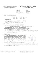 Đề thi học sinh giỏi lớp 9