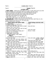 GIAO AN TUÀN 2 -L2(SOẠN THEO CKTKN)