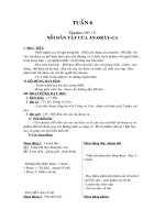 Giáo án lớp 4( tuần 6) đã chỉnh sửa