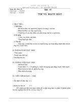 Bai 17. Tim va mach mau