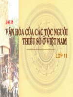 Văn hoá các tộc người thiểu số