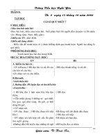 giao an 5 CKTKN- tuan 9