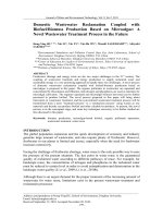 Domestic Wastewater Reclamation Coupled with Biofuel/Biomass Production Based on Microalgae: A Novel Wastewater Treatment Process in the Future
