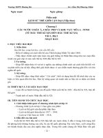 sử 11( kì I, 3 cột ) Đỉnh