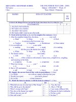 đề k.tra Anh Văn 7- tuần 25