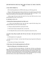 Đổi mới ppdhTin Học