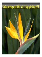 Những ngôi sao xa xôi (tiết 1)