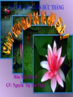 Tóm tắt văn bản tự sự (tiết 19)