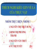 thích nghi kiểu gen lá cây