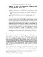 Behavior of Zinc in a Constructed Wetland System Receiving Domestic Wastewater