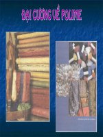 Giáo án 12_ Bài Polime(kha hay)