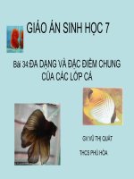 ĐA DANG VÀ ĐẶC ĐIỂM CHUNG CỦA LỚP CÁ-SH7