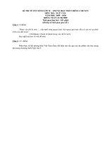 Gợi ý giải đề Văn tuyển sinh  lớp 10 chuyên tại TP HCM năm 2009