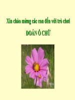 Tiết 13-Bài 10Giữ gìn và phát huy truyền thống tốt đẹp của gia đình, dòng họ