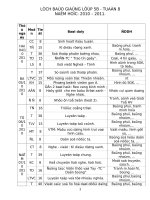 GAL5-T8-CKT+BVMT+TTHCM...