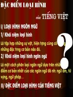 Đặc điểm loại hình của tiếng Việt