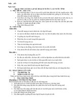 nghe nuoi ca tham khao thui