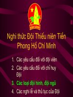 Bài giảng tập huấn nghi thức đội phần 4