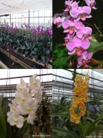 Bài 6: UDNC mô tế bào