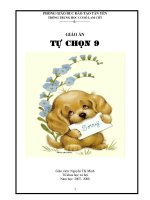 giao an tu chon anh 9 LC