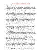 LUẬT BÓNG ĐÁ MINI