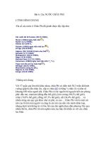 bài 6. CÁC NƯỚC CHÂU PHI