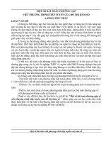 Sang kien kinh nghiem toan 2010