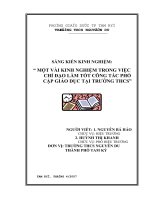 SKKN - Công tác phổ cập giáo dục (Năm học 2006 - 2007)