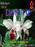 Tiết 10 Hình 6:Luyện tập