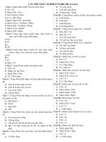 55 CÂU TN WORD LỚP 6