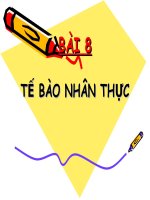 bài 8: tế bào nhân tực