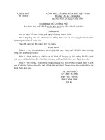 NDD07 Quy chế về kiểm toán độc lập trong nền kinh tế quốc dân