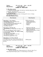 giáo án buổi 2 lớp 3