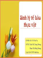 Sinh lý tế bào thực vật