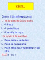 lớp 1 lá mầm, lớp 2 l¸ mầm