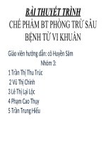 CHẾ PHẨM BT PHÒNG TRỪ SÂU BỆNH TỪ VI KHUẨN